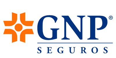 GNP